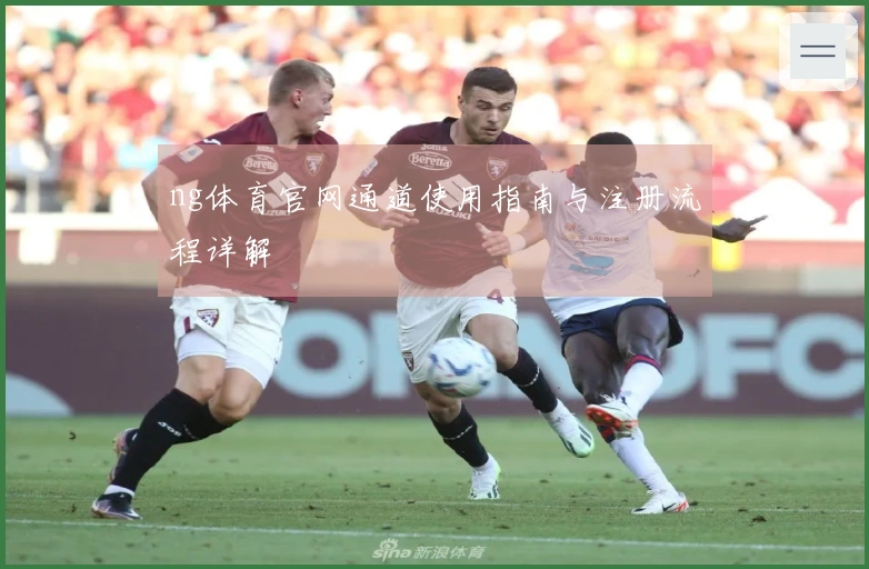 ng体育官网通道使用指南与注册流程详解