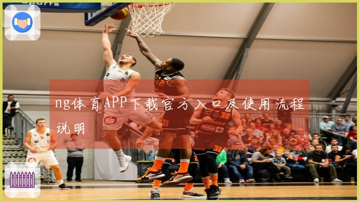 ng体育APP下载官方入口及使用流程说明