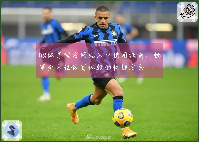 ng体育官方网站入口使用指南：畅享全方位体育体验的快捷方式