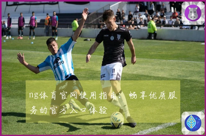 ng体育官网使用指南：畅享优质服务的官方入口体验