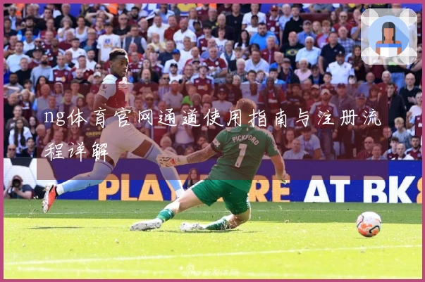 ng体育官网通道使用指南与注册流程详解