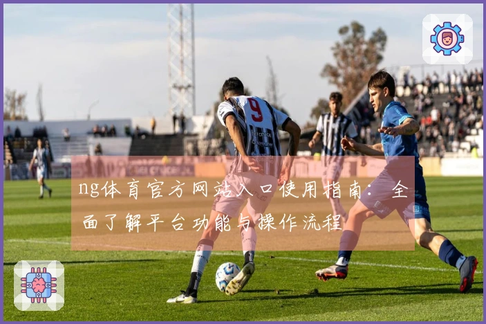 ng体育官方网站入口使用指南：全面了解平台功能与操作流程