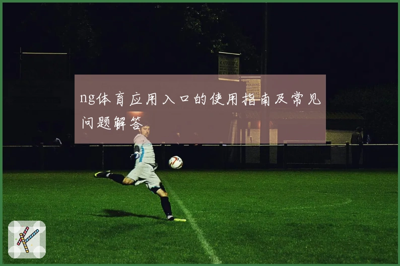 ng体育应用入口的使用指南及常见问题解答